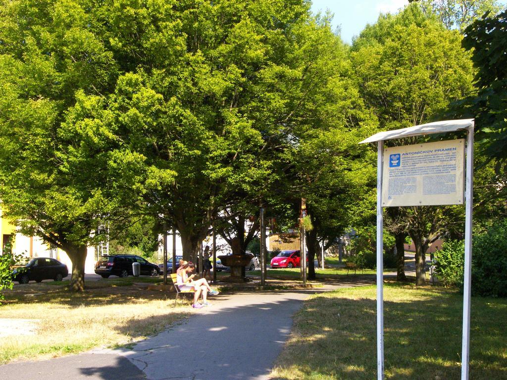 Penzion U Antonickova Pramene Mariańskie Łaźnie Zewnętrze zdjęcie